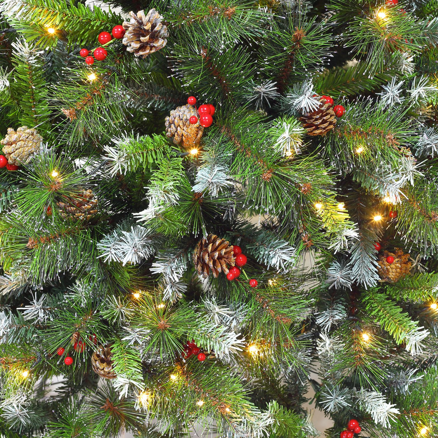 Pour Noël, pensez carte cadeau !